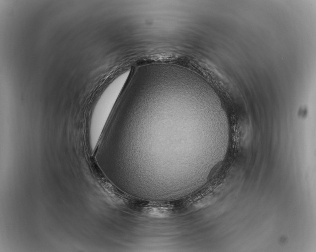 X0000098200368200805081117