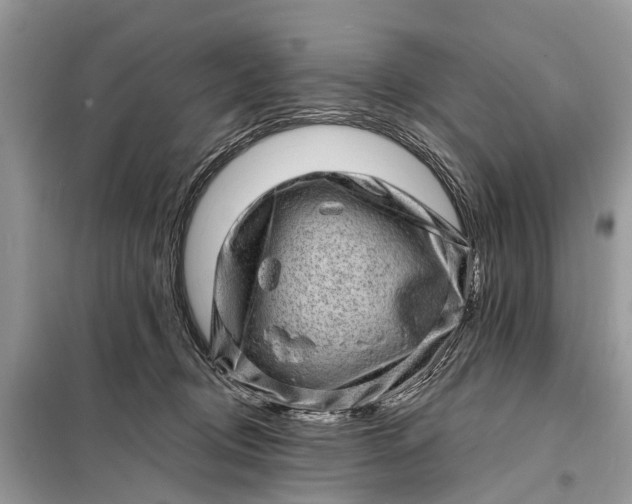 X0000098200370200805081117
