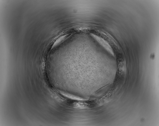 X0000098200372200805081117