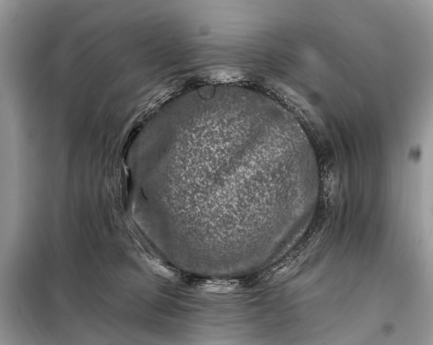 X0000098200373200805081117