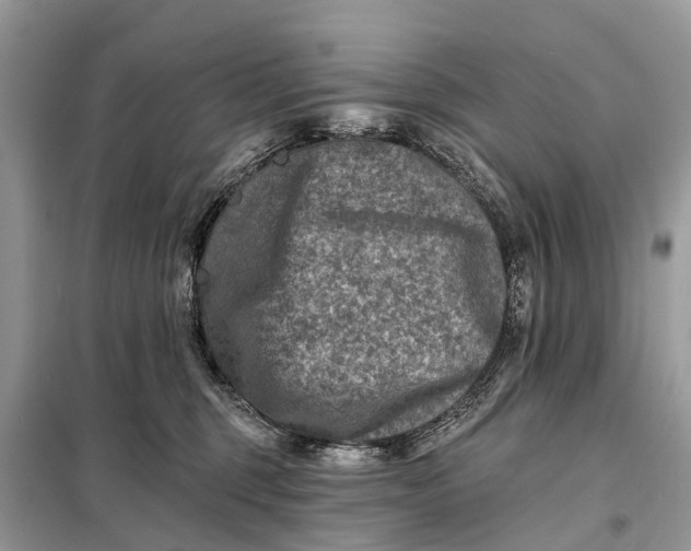 X0000098200375200805081117