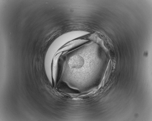 X0000098200376200805081117