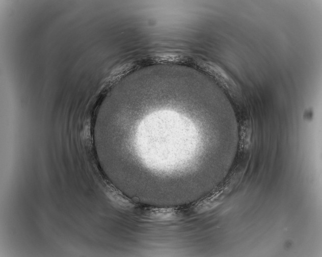 X0000098200377200805081117