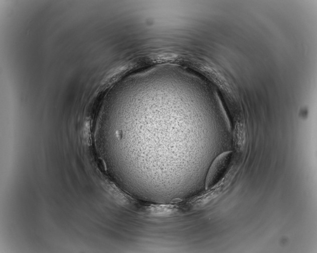 X0000098200378200805081117