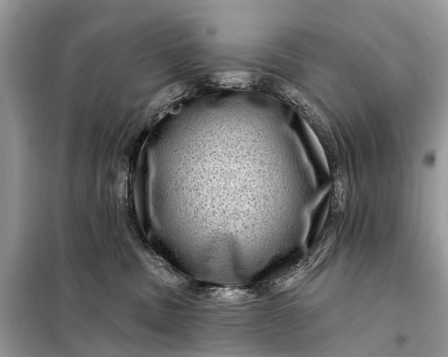 X0000098200379200805081117