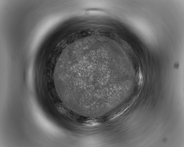 X0000098200381200805081117