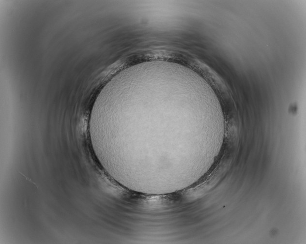 X0000098200382200805081117