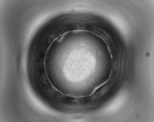 X0000098200383200805081117