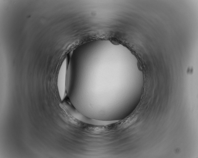 X0000098200384200805081117