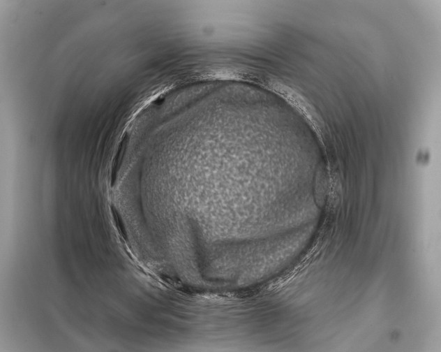 X0000098200386200805081116