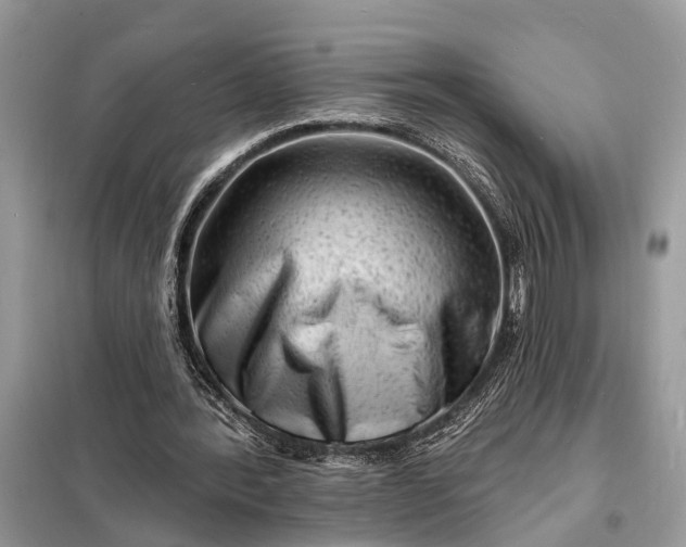 X0000098200388200805081116