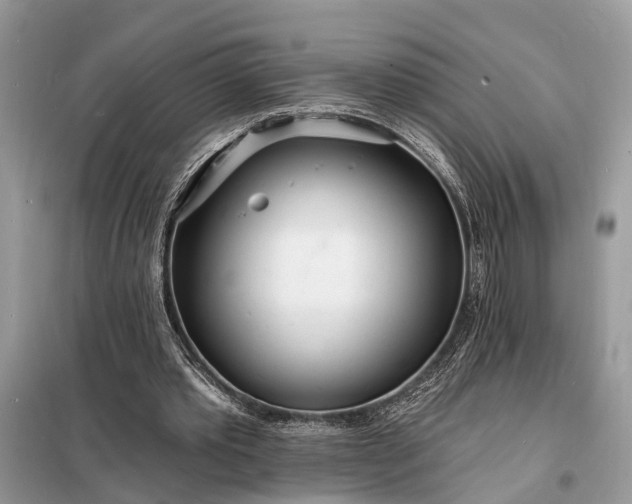 X0000098200389200805081116