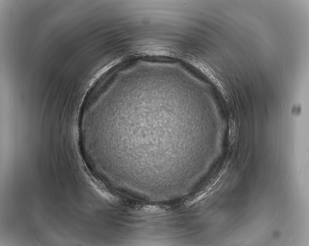 X0000098200390200805081116