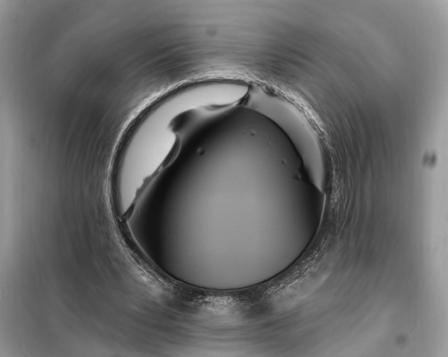 X0000098200391200805081116