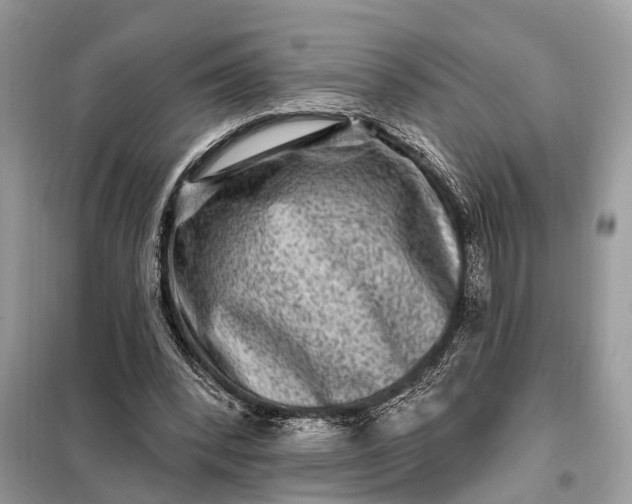 X0000098200392200805081116