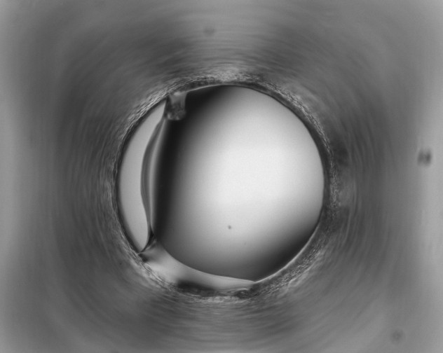 X0000098200393200805081116