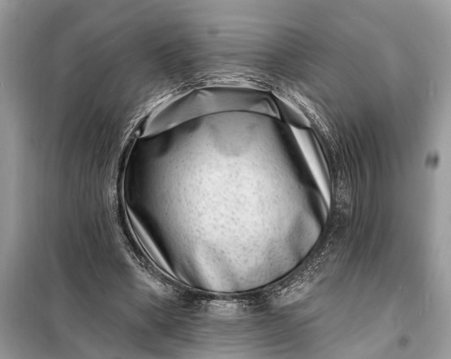 X0000098200394200805081116