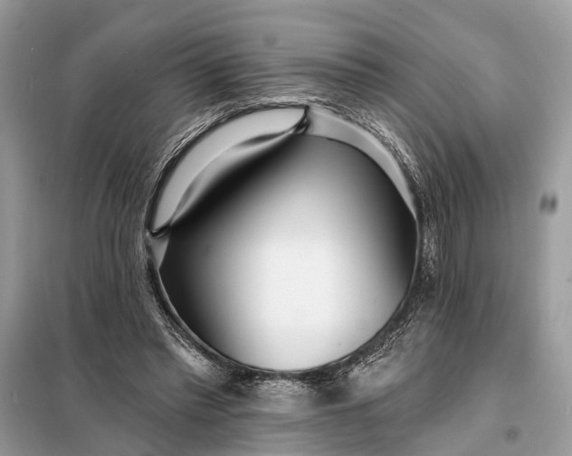 X0000098200397200805081116