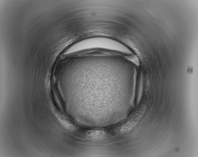 X0000098200398200805081116