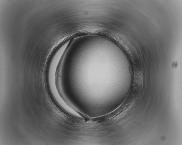 X0000098200399200805081116