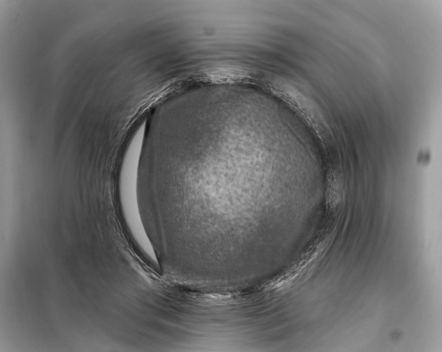 X0000098200405200805081116