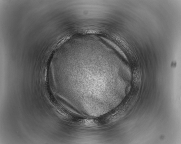 X0000098200406200805081116