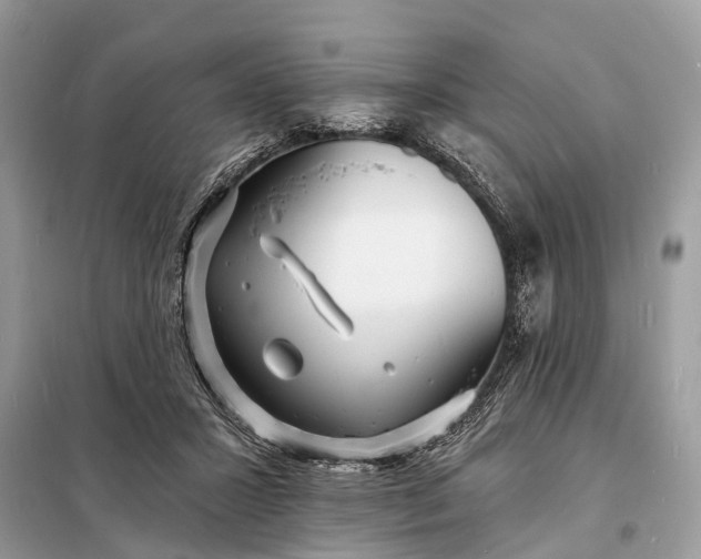 X0000098200407200805081116