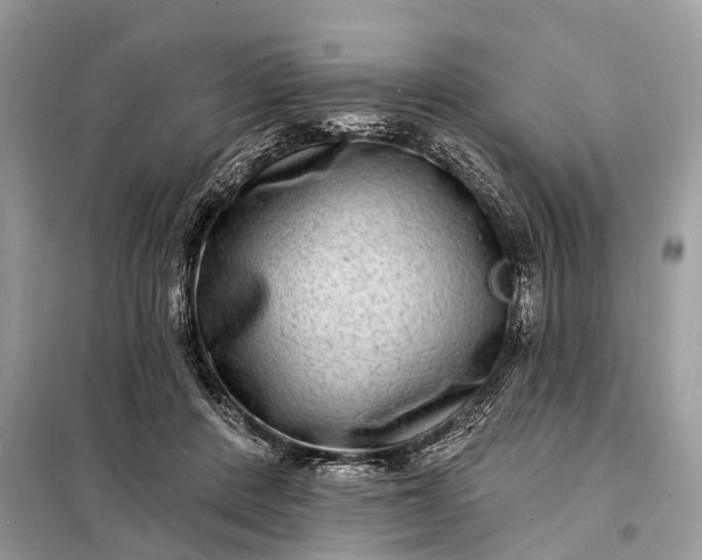 X0000098200408200805081116