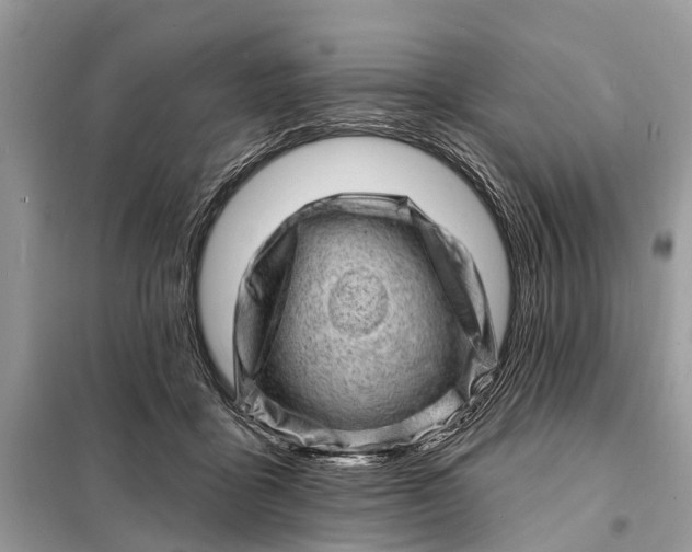 X0000098200411200805081116