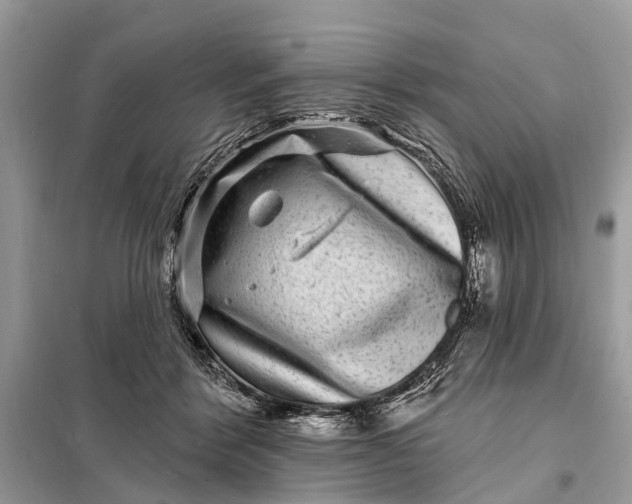 X0000098200412200805081116