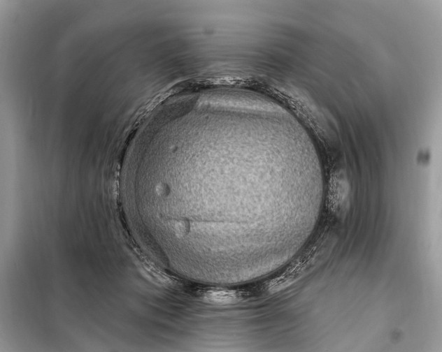 X0000098200413200805081116