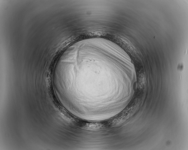 X0000098200414200805081116