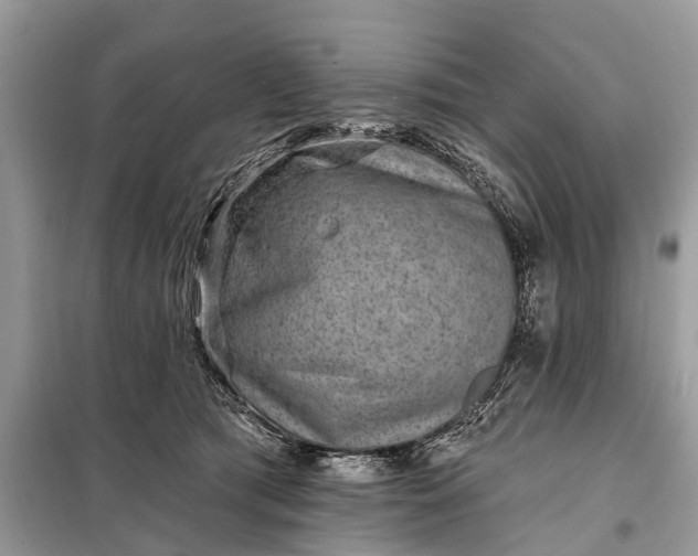 X0000098200417200805081116