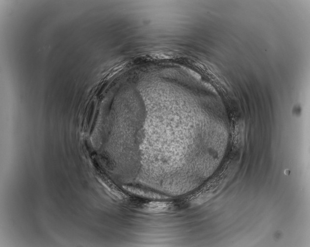 X0000098200418200805081116