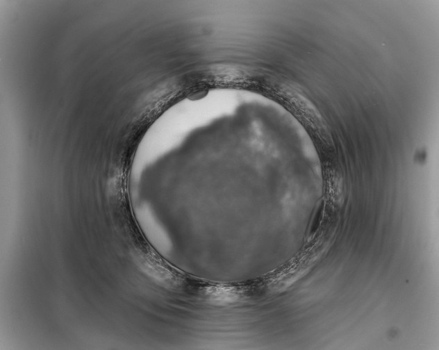 X0000098200419200805081116