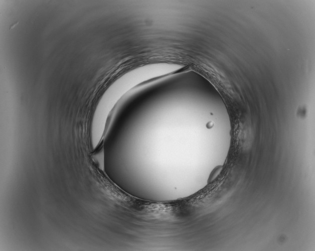 X0000098200421200805081116
