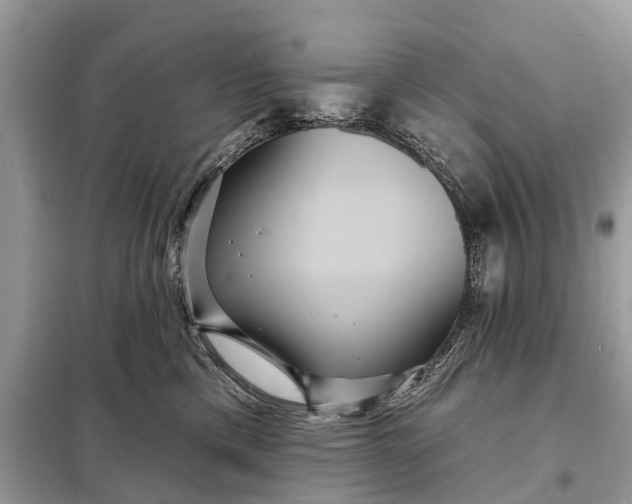 X0000098200425200805081116