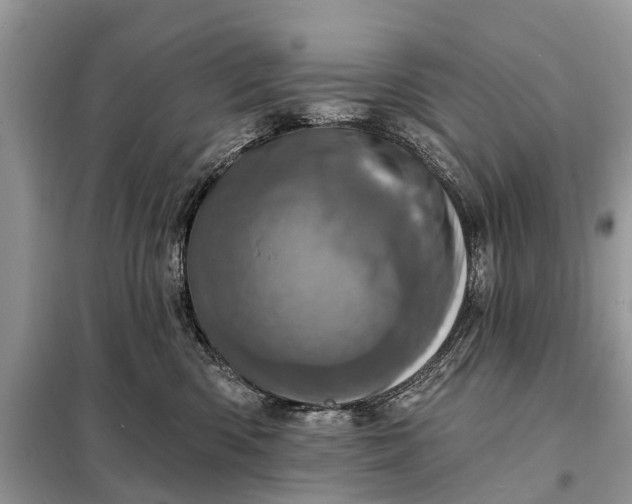 X0000098200426200805081116