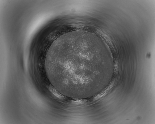 X0000098200430200805081116