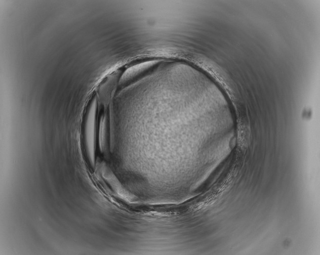 X0000098200434200805081115