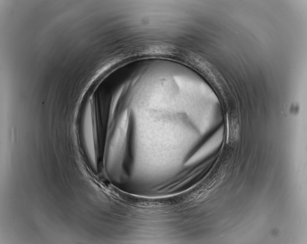 X0000098200435200805081115