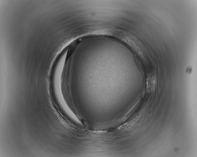 X0000098200436200805081115