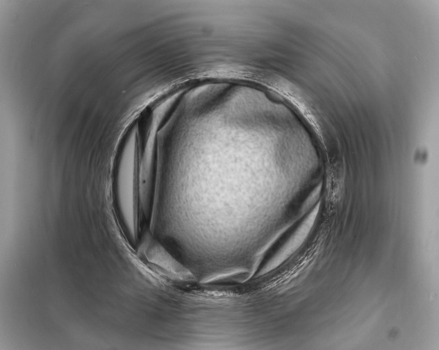 X0000098200437200805081115