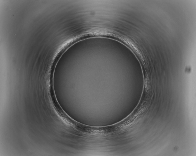 X0000098200438200805081115