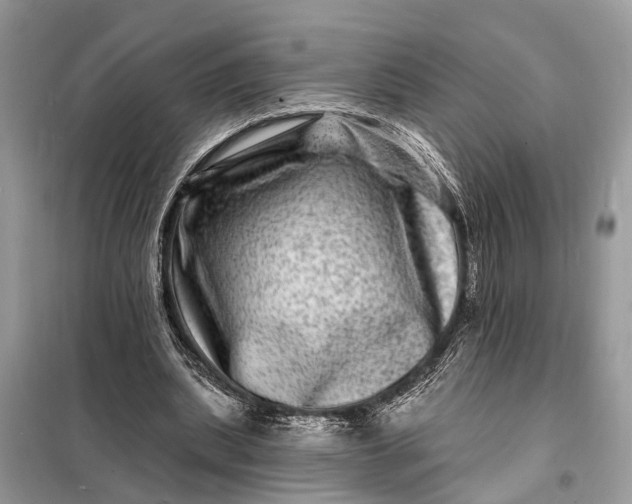 X0000098200439200805081115