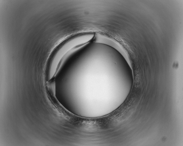 X0000098200440200805081115