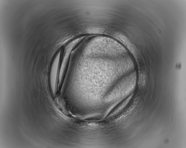 X0000098200441200805081115