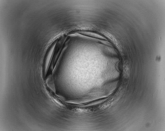 X0000098200442200805081115