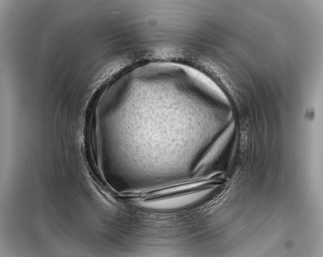X0000098200443200805081115