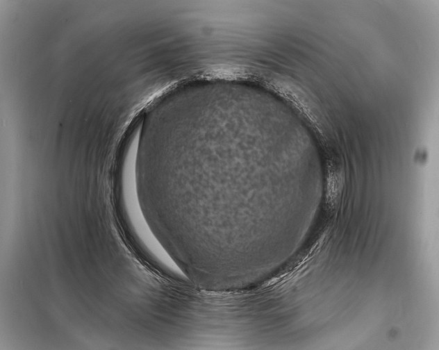 X0000098200444200805081115